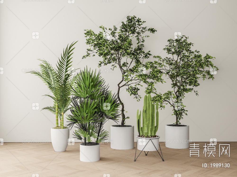 盆栽植物组合