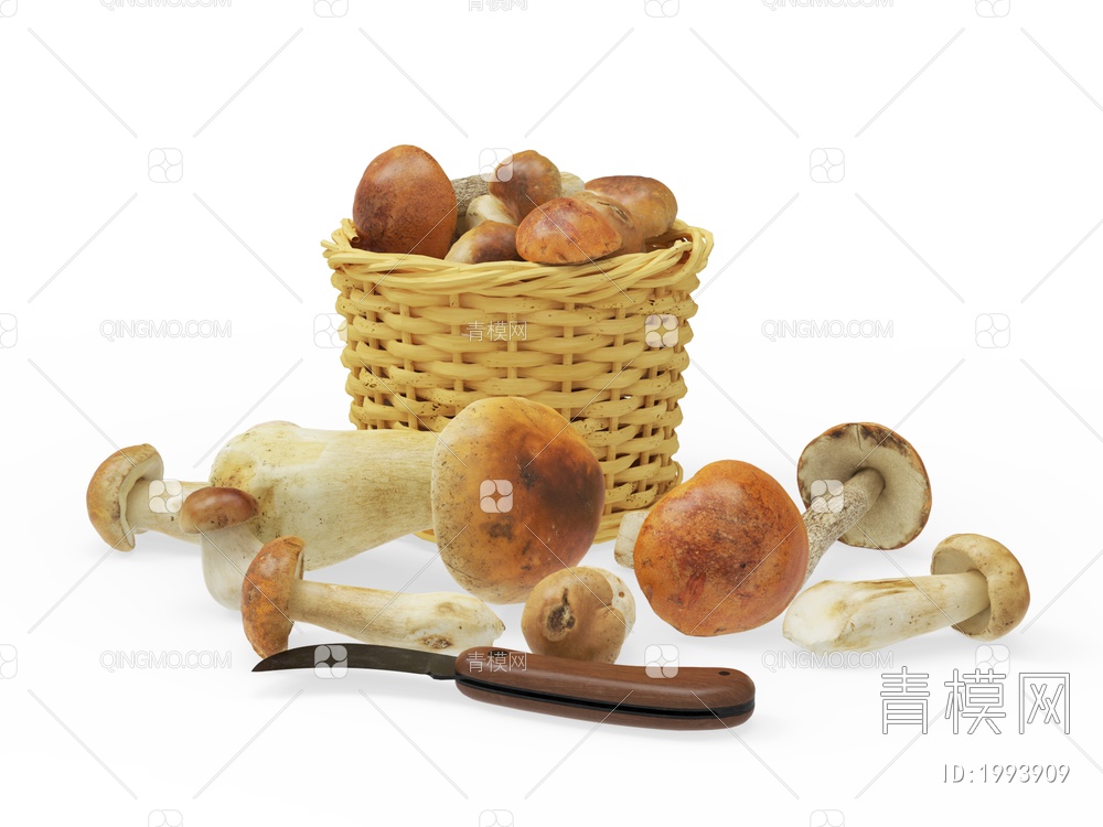蔬菜 蘑菇