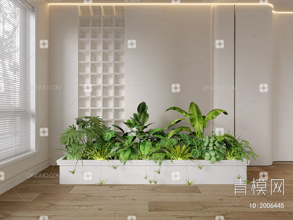 室内组团小景 植物堆 球形灌木 苔藓球 带花灌木植物组合