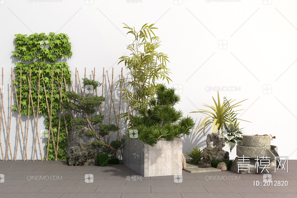 景观植物竹子，景观竹，小松树，园林小品，石头，石磨