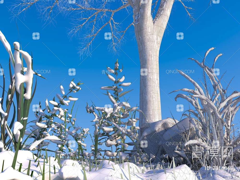 雪 植物