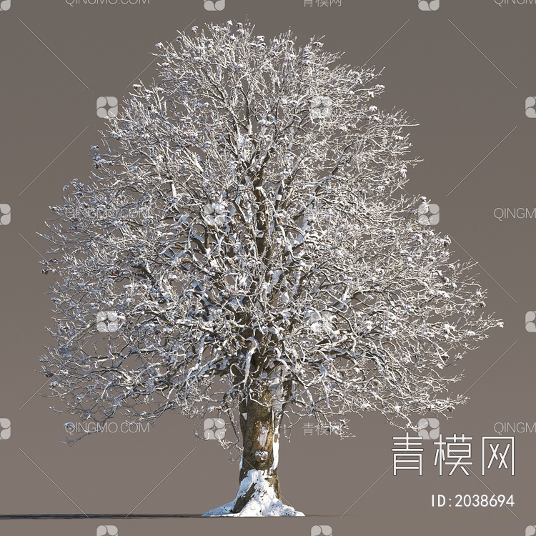 雪树 乔木 大树 景观树 行道树 冬季雪树 冰雪树 冰冻树