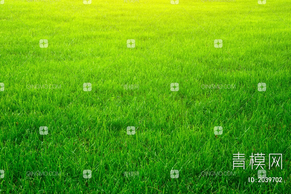 精致贴图 草坪图 草地贴图 高清草坪图 足球场草皮 阳光草地
