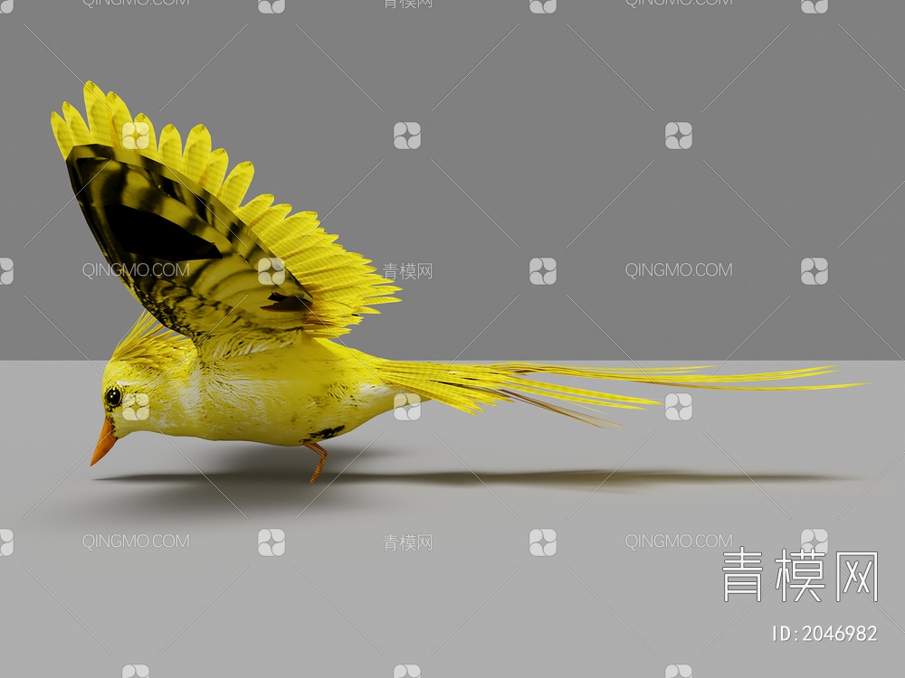 鸟类 黄色鸟