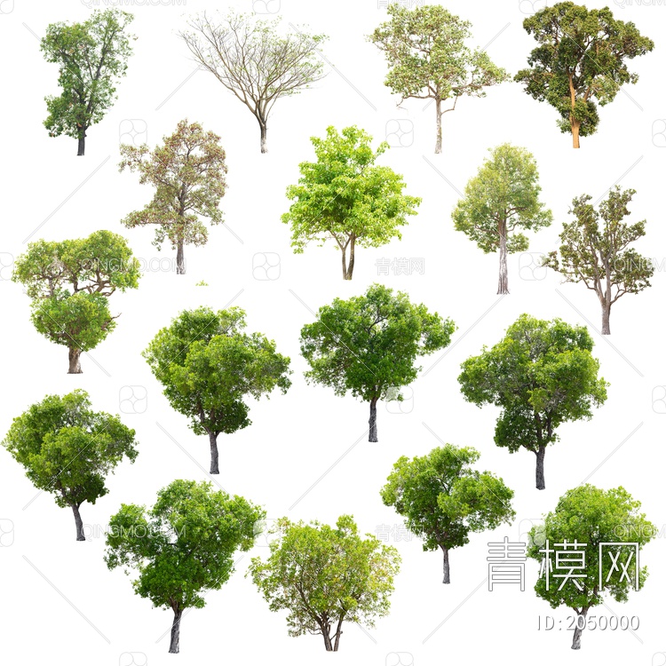 免抠图psd常用树种