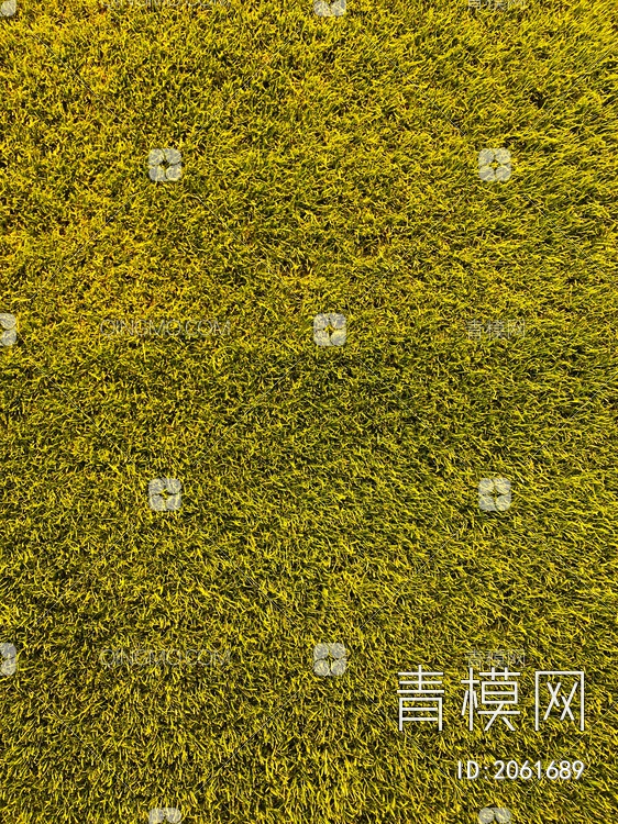 黄绿色草地贴图