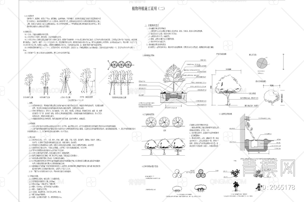 园林景观绿化 植物种植施工大样图详图 设计说明