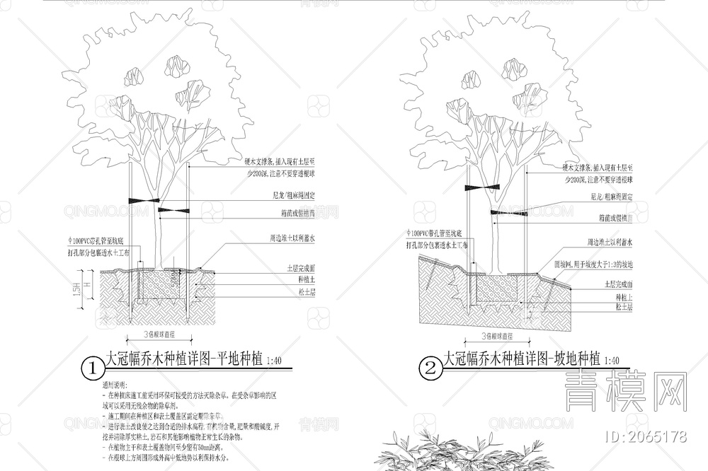 园林景观绿化 植物种植施工大样图详图 设计说明