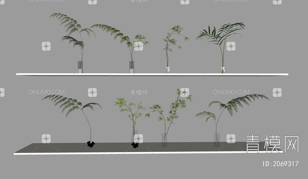 水生植物，植物摆件