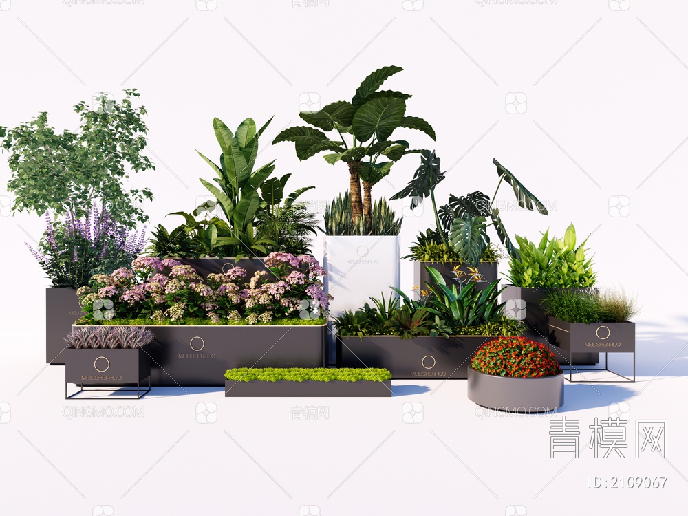植物花箱