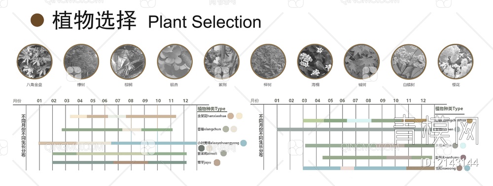 景观植物分析图psd