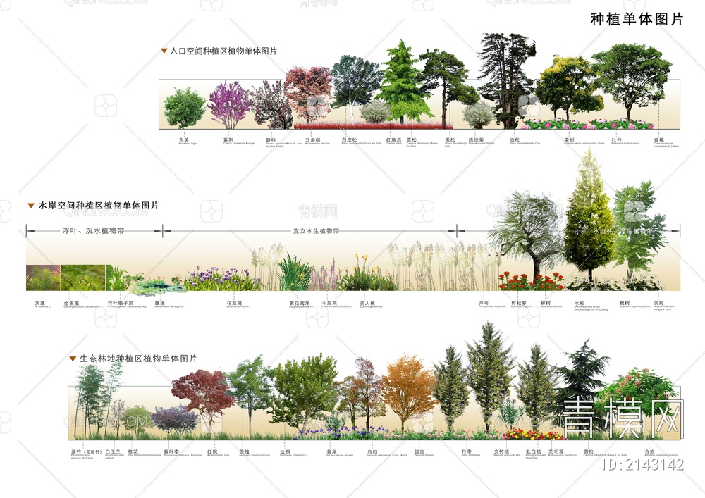 景观植物分析图psd