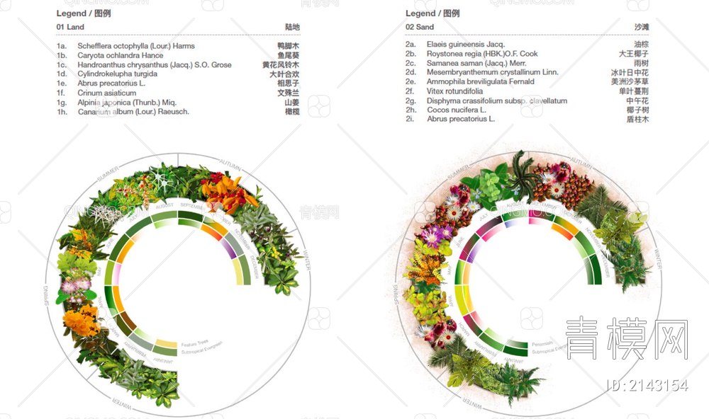 景观植物分析图psd