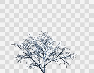 雪景树冬季树木