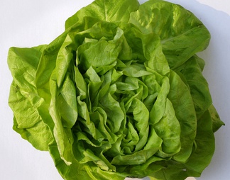 蔬菜