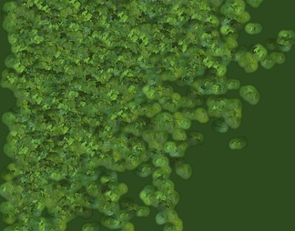 植物草