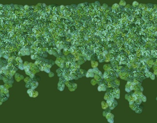 植物草