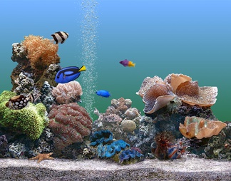 水族箱贴图