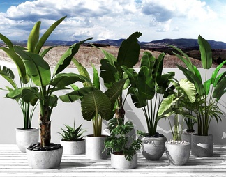 【户外盆栽绿植植物组合3D模型】 -现代VR有灯光有贴图MAX2014户外盆栽绿植植物组合3d模型下载-ID680874-免费3Dmax模型库 ...