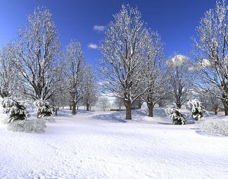 雪景森林
