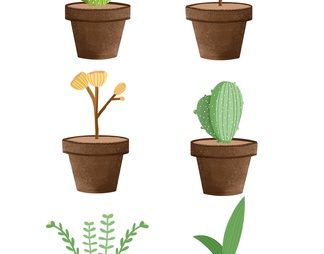 绿色植物花盆盆栽