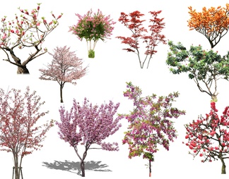 果树，花