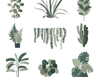 小清新插画风植物盆栽立面素材免抠PSD