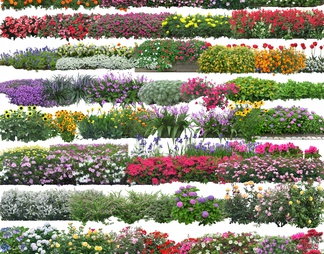 免扣花卉素材