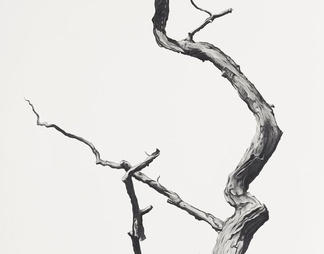 植物装饰画