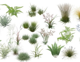 小清新观赏植物草丛免抠PSD