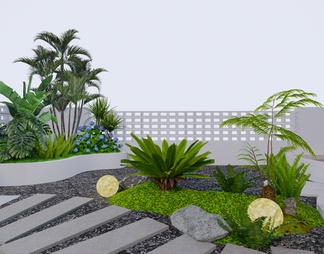 热带植物景观