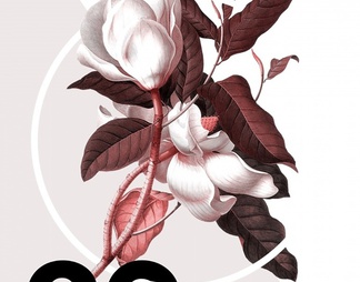 植物装饰画