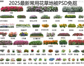 PSD免抠 花草植物 地被植物 开花植物