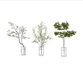 水生植物组合