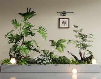 植物堆