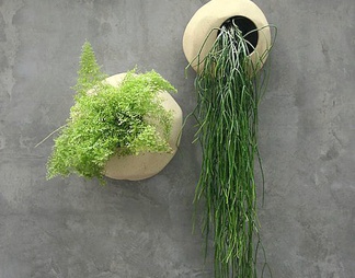 植物墙绿植墙背景墙形象墙绿化装饰墙植物堆