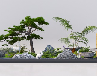 室内造景