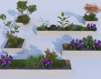 植物花坛组合
