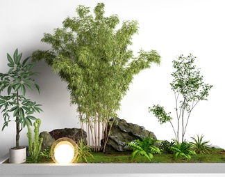 景观植物