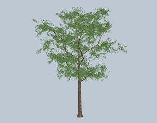 树