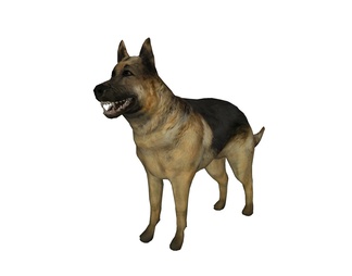 狼狗