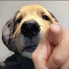 15075982900
