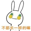 凤梨脑袋